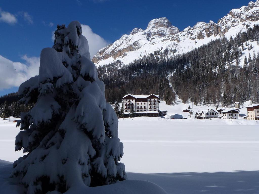 Hotel Lavaredo Misurina Εξωτερικό φωτογραφία